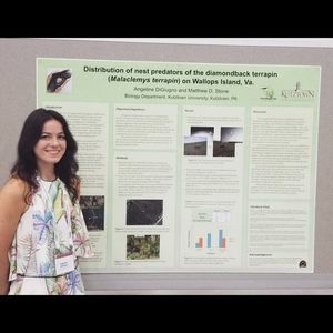 Meet your Posher, Angeline